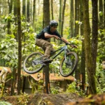 ACTION_TRID___DSC01441-Enhanced-NR