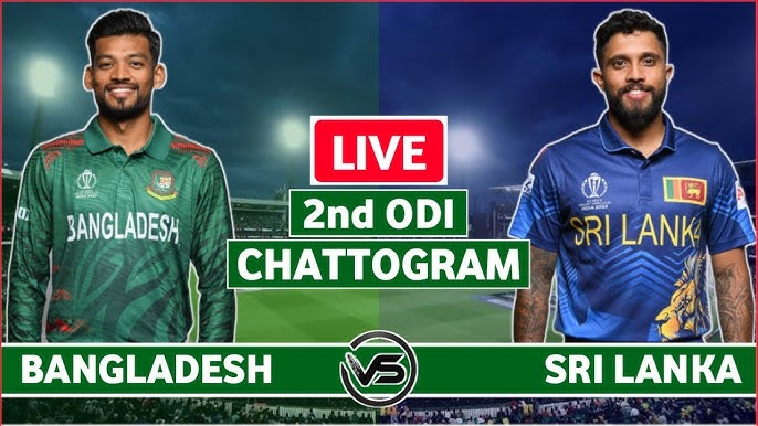 match sari13